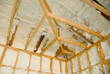 Home Energy Audit